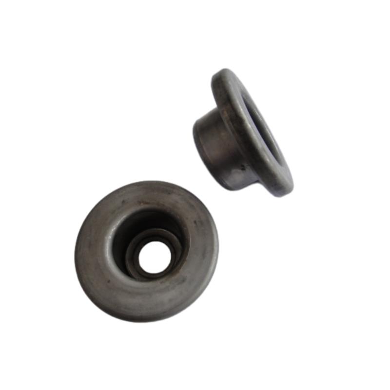 AH Flanging Bearing Housing